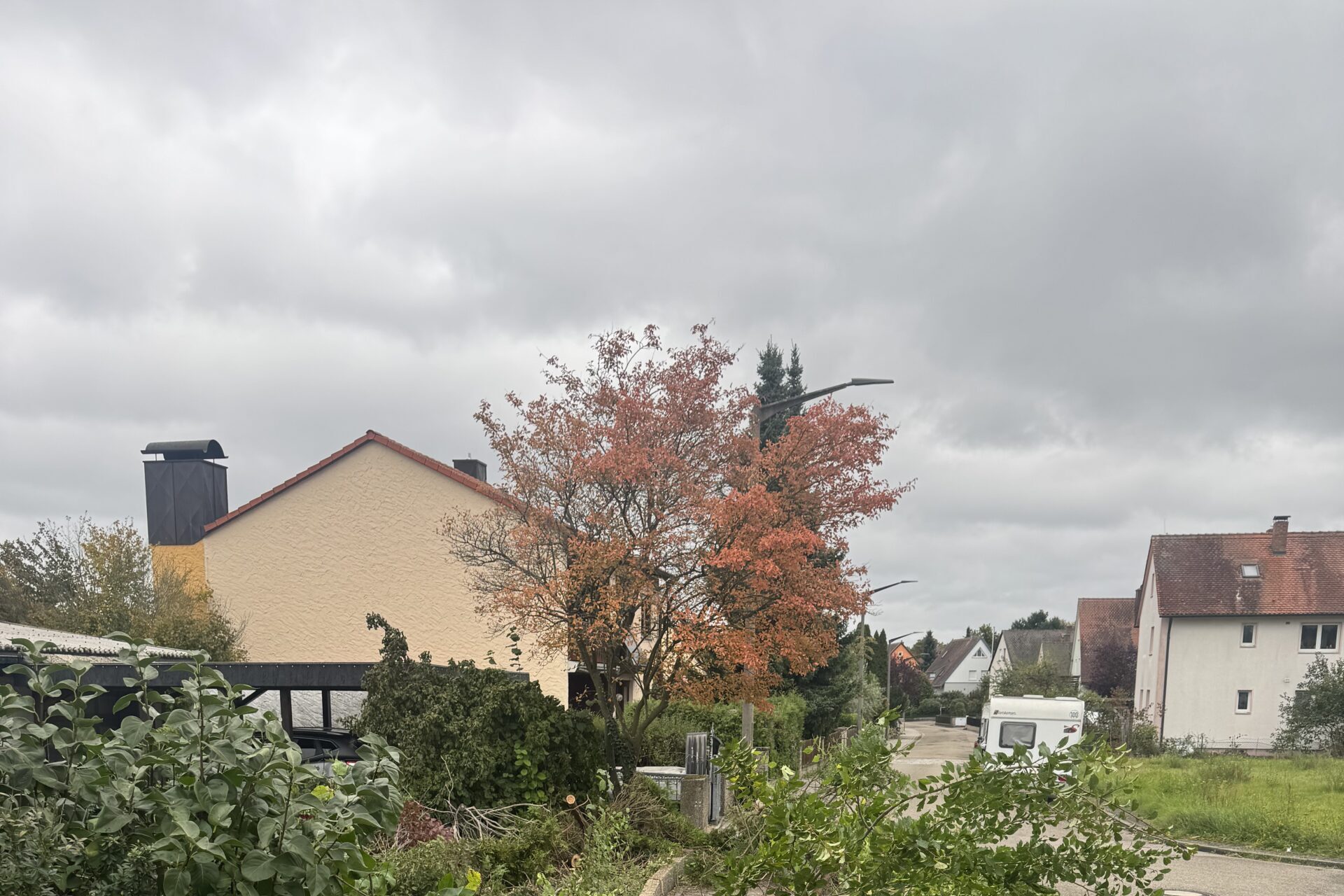 image00008 image00008